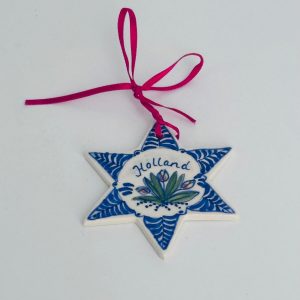 Christmas star with tulips